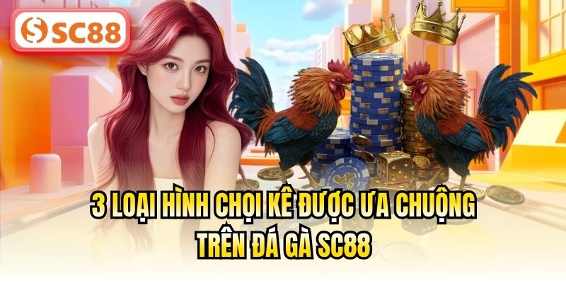 3 loại hình chọi kê được ưa chuộng trên Đá Gà SC88