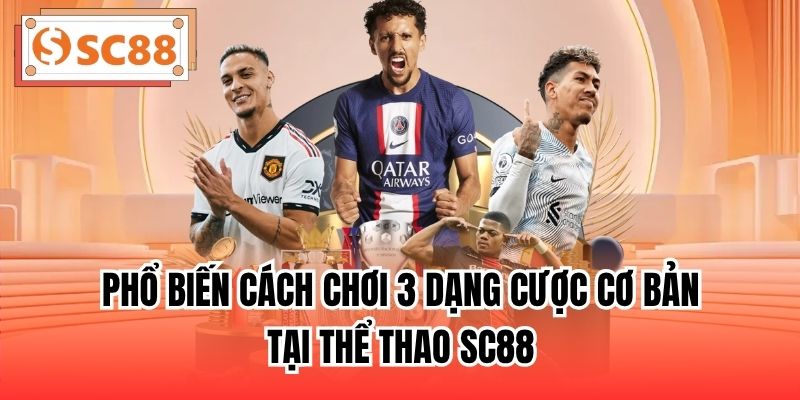 Phổ biến cách chơi 3 dạng cược cơ bản tại thể thao SC88